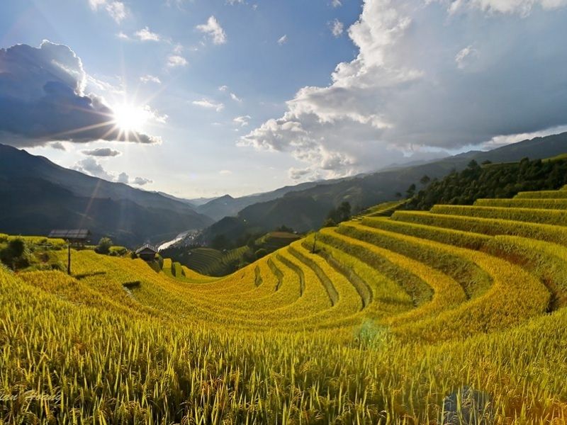 Mù Cang Chải Yên Bái - Địa điểm ruộng bậc thang đẹp nhất Việt Nam